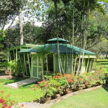 Bukidnon Country Lodge, Manolo Fortich — photo 4