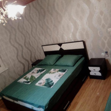 Guest House on Rechnaya 14G, 勒德扎 — 照片 3