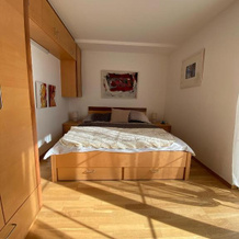 Modernes Alpenapartment mit Sauna Wintergarten und Pool, Adnet — photo 5