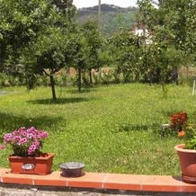 Albergo dei Tigli, Brugnato — photo 5