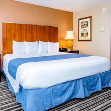 Metro Points Hotel, 新卡罗尔顿 — 照片 4