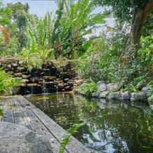 Villa Adi, 布努坦 — 照片 4
