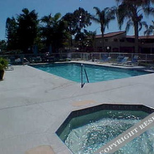 Tampa-Homeseekers Beaches, Palm Harbor — photo 3