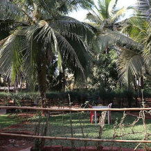 Darya sarang resort & Beer shopee, Ganpatipule — photo 4