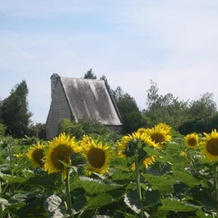 Domaine de la chapelle - Ch d'hote, Faverolles-sur-Cher — photo 3