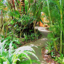 Kwalucia Private Safari Retreat, Сент-Люсия — фото 4
