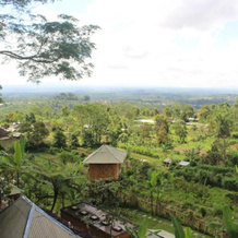 Bali Tree House Pelangi, Батурити — фото 3