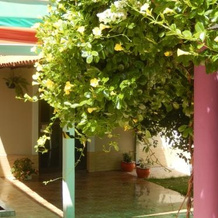 Hotel Villerejo, Abadiania — photo 3