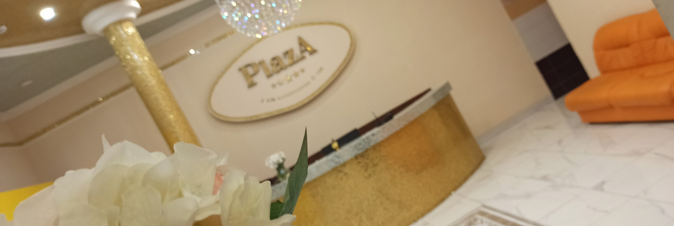Spa-Hotel Plaza, Мичуринск — фото 1