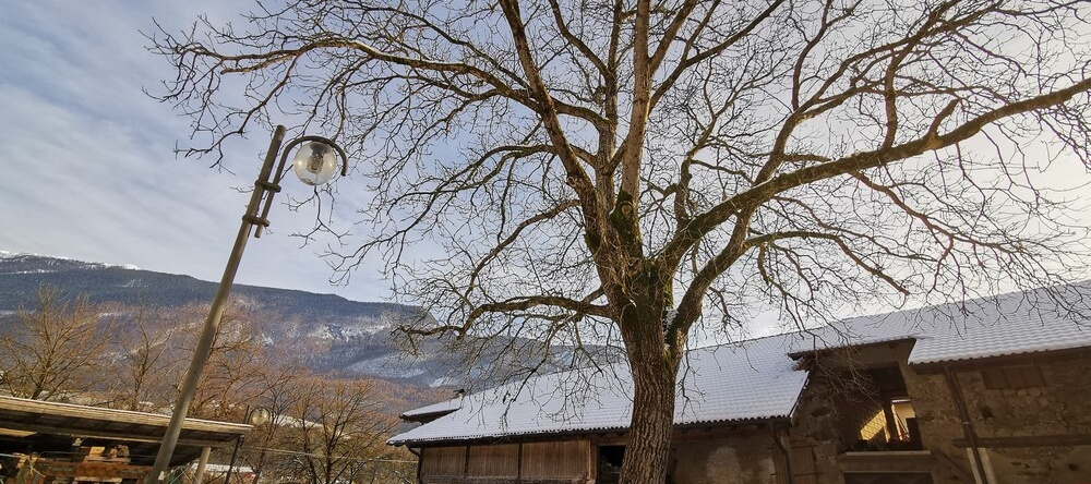 Casa In Tipico Maso, Tra Natura E Tradizione, Камподенно — фото 1