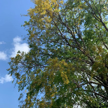 Spring Homestead, 约翰斯顿 — 照片 2