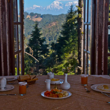 Tree of Life Grand Oak Manor, Binsar Wildlife Sanctuary, 阿尔莫拉 — 照片 2