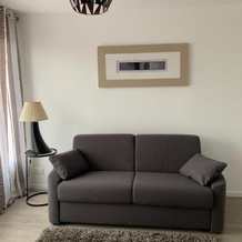 APPARTEMENT COEUR de ROANNE, 罗阿讷 — 照片 3
