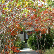 Masseria Il Cardinale, 波焦尔西尼 — 照片 2