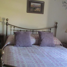 Celyn Villa Bed And Breakfast, Холиуэлл — фото 2