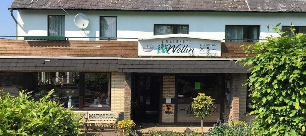 Waldhotel Wellin, Хершайд — фото 1
