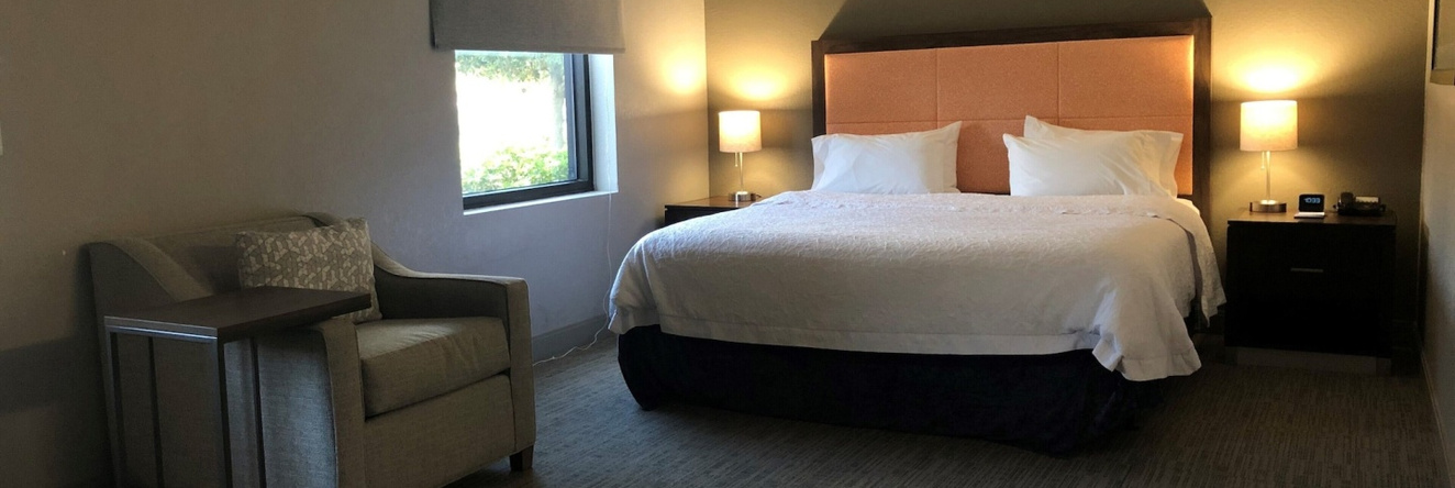 Hampton Inn & Suites Tampa Northwest/Oldsmar, Oldsmar — photo 1