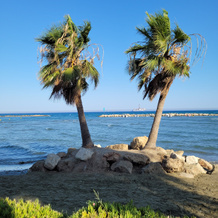Palm Beach Hotel & Bungalows, Larnaca — photo 4