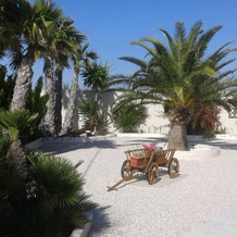 La Dolce Vita, Abanilla — photo 5