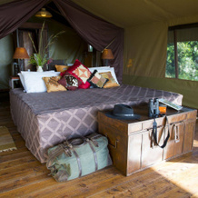 Kilima Camp, 扎-瓦吉耶雷姆-巴塔莱尔 — 照片 3