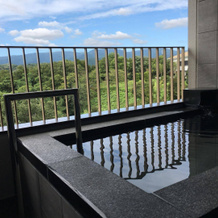 Izu Marriott Hotel Shuzenji, 伊豆 — 照片 5