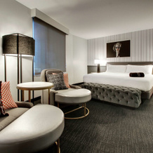 The Rose Hotel Chicago O’Hare, Tapestry Collection by Hilton, 芝加哥 — 照片 5