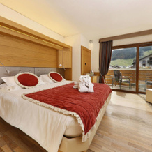 Hotel Alp Wellness Mota, 利维尼奥 — 照片 4