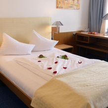 Hotel Metropol, Arbon — photo 5