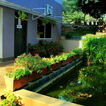 Viva Fernleaf Resort, 基亚桑德拉 — 照片 4