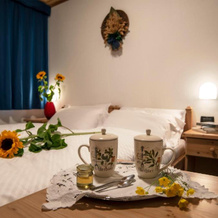 Hotel Chalet Genziana, 佩约 — 照片 2