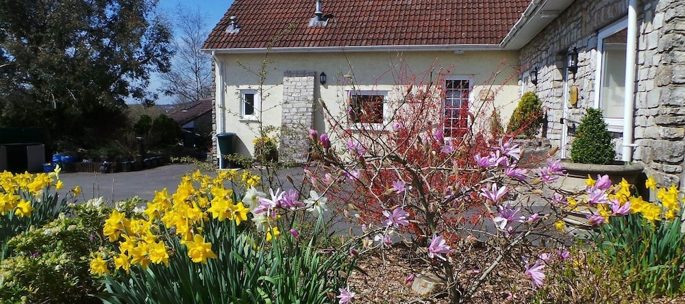School Cottages BB Self-Catering, 法恩伯勒 — 照片 1