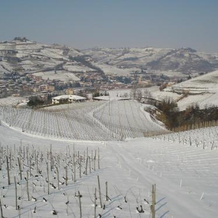 Agriturismo Ai Piacentini, 圣斯特凡诺贝尔博 — 照片 4