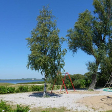 Haus TimpeTe am Breetzer Bodden, 菲雷格 — 照片 3