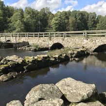 Blidingsholm Stugby, Tingsryd — photo 4