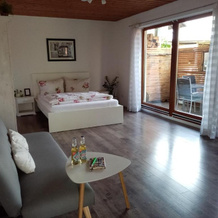 Schöne EinZimmer Wohnung Zwischen Bodensee und Allgäu, Neukirch — photo 3