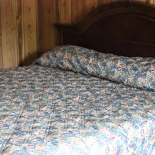 Carolina Lodge, 沃尔特伯勒 — 照片 4