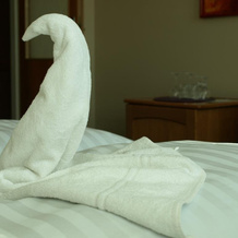 Hotel U Labutě, Zdar Nad Sazavou — photo 5