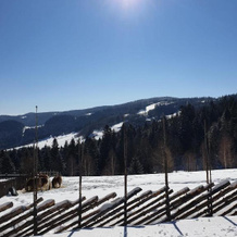 Domek na Obidzy, Piwniczna-Zdroj — photo 2