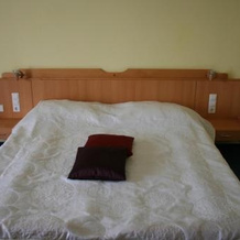 Hotel Botra, Мурска Собота — фото 2
