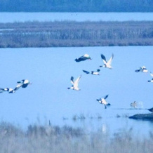 Villetta Lagomare, Comacchio — photo 4