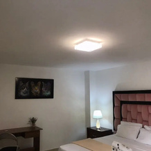 Hotel San Alejo, Тулуа — фото 4
