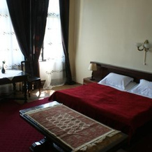 Vila Corviniana, Hunedoara — photo 5
