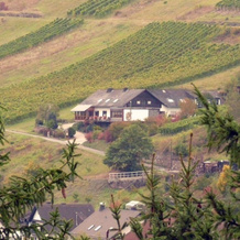 Weingut & Gästehaus Sonnenhof, Оберхаймбах — фото 4