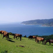 Toimisaki Kokuminshukusha, Kushima — photo 2