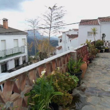 Casas Rurales Jardines Del Visir, 赫纳尔瓜西尔 — 照片 4