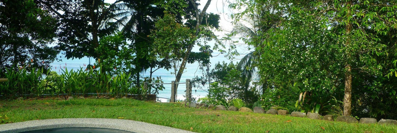 Tiskita Jungle Lodge, Punta Banco — photo 1