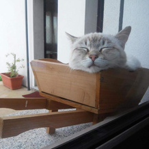 Alma Bed & Breakfast, Сеннариоло — фото 2