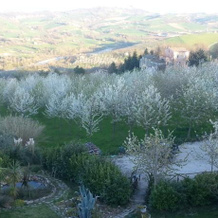 Il Casale di Nanni, 彭纳圣乔瓦尼 — 照片 4