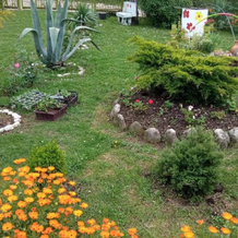 Guest House Nargo's garden, 马尔特维利 — 照片 2