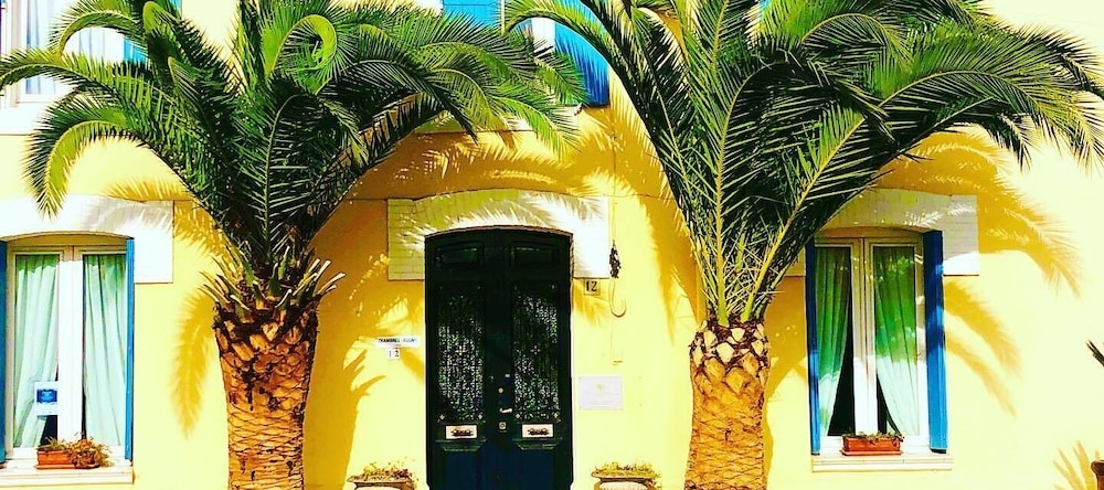 Maison des Palmiers, 比兹米内尔瓦 — 照片 1